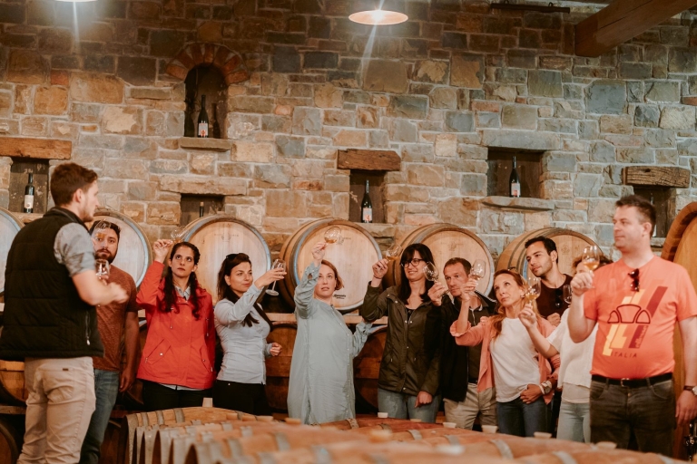 De Ljubjana: visite des vins slovènes