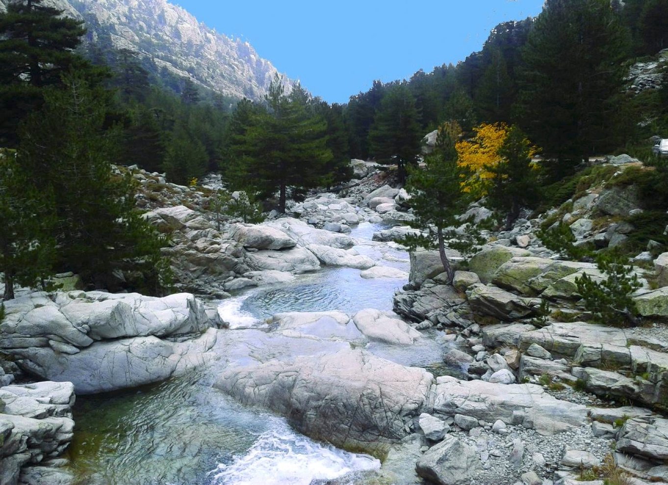 Calvi: Asco Valley 4x4 dagstur med guide