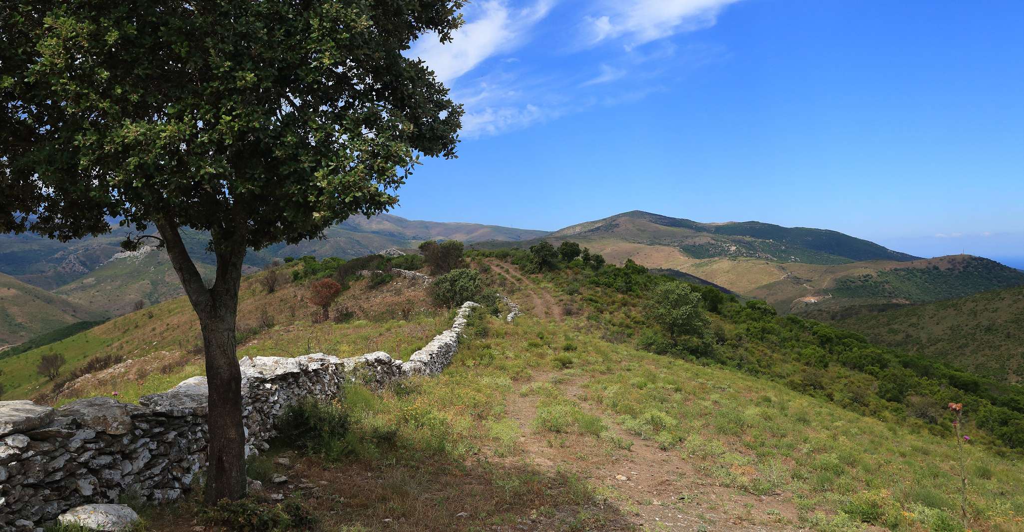 Calvi, Asco Valley 4x4 Day Tour with Guide - Hizvo