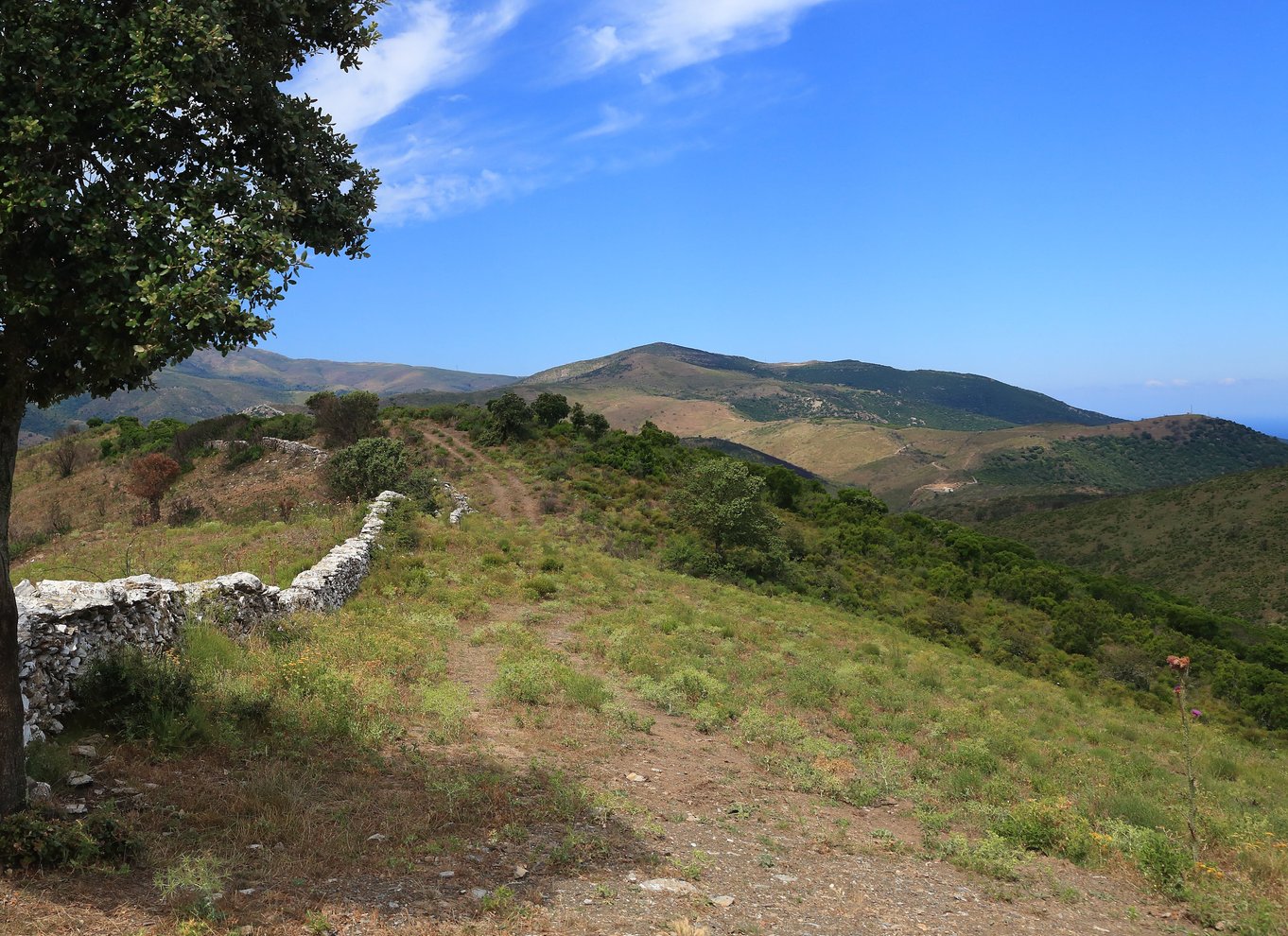 Calvi: Asco Valley 4x4 dagstur med guide