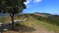 Excursión de 4x4 días a Calvi, Valle de Asco con guía - Hizvo