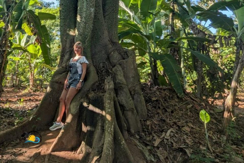 Zanzibar: Kruidenboerderij tour en kookles met lunch