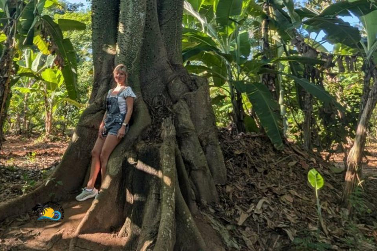 Zanzibar: Kruidenboerderij tour en kookles met lunch