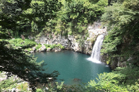 Jeju: South & West Coast Highlights Small Group Day Tour