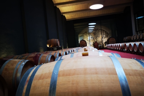 Mallorca: Weingutstour