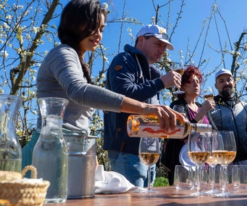Mallorca: Full-Day Winery Small Group Tour