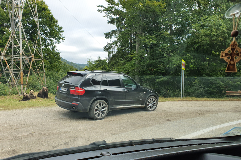 Desde Bucarest: excursión privada de un día a la autopista Transfagarasan