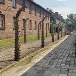 Da Cracovia: Escursione guidata al complesso del campo di Auschwitz-Birkenau