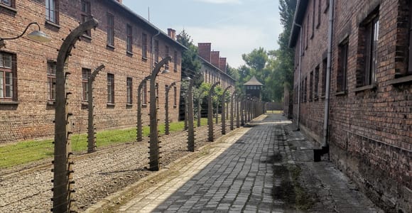 From Krakow: Auschwitz-Birkenau Camp Complex Guided Day Trip