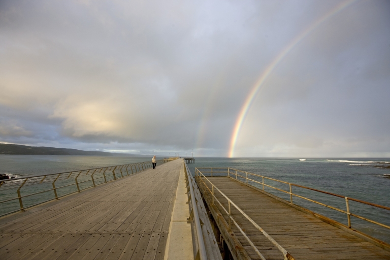 Phillip Island: Tour privado guiado de un día LGBTQ + de 12 horas