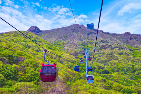 Geoje Cable Car and Oedo Botania Day Tour from Busan