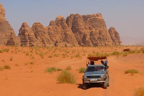 Von Petra: Besuch im Wadi Rum zurück nach Amman oder zum Flughafen Amman