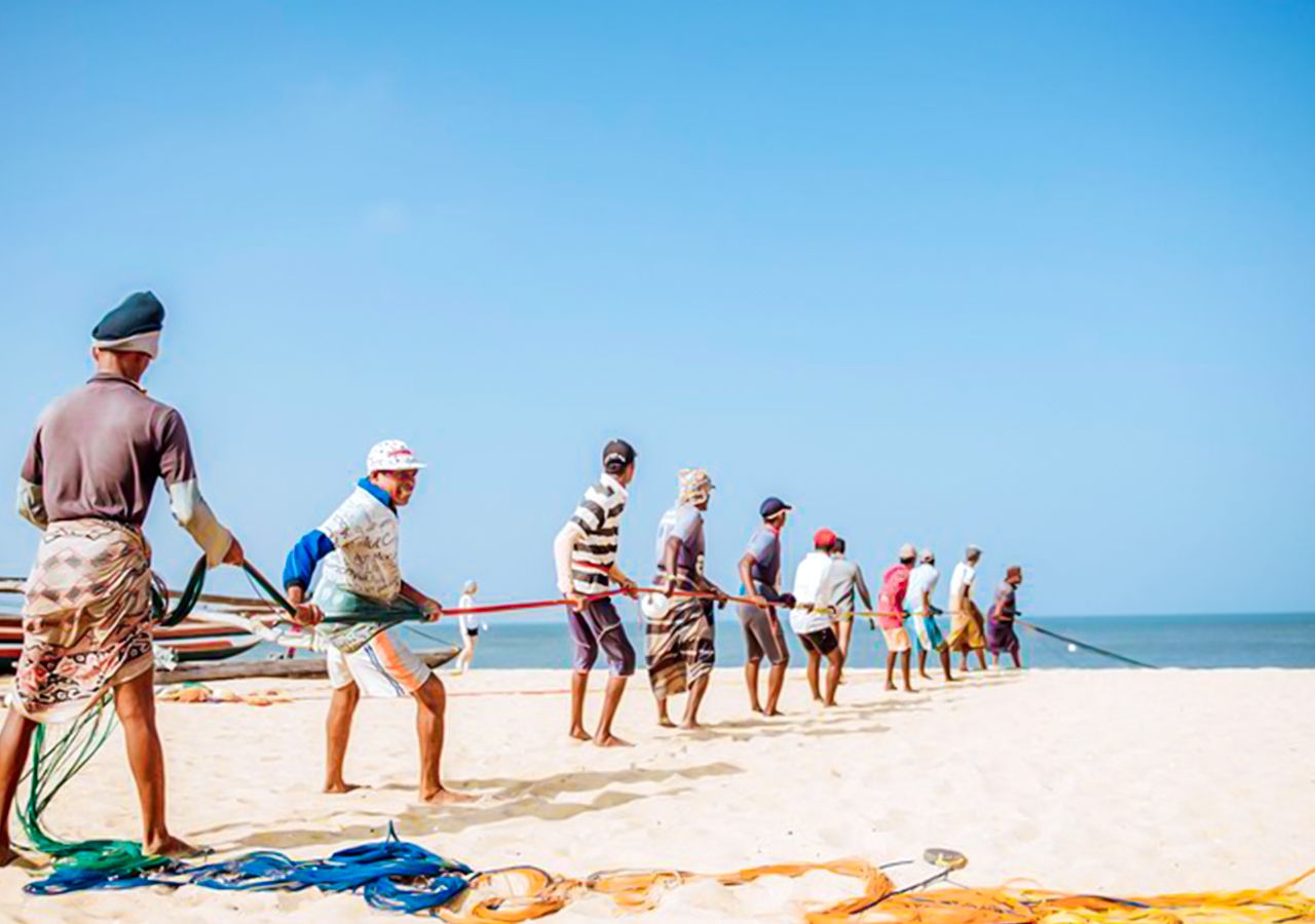 Negombo: Private Tuk-Tuk-Tour zu den Highlights des Fischerdorfs
