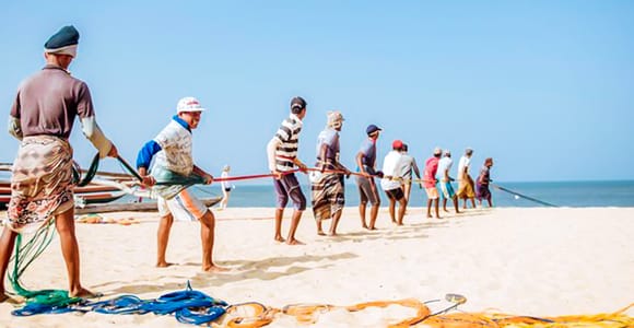 Negombo: Private Tuk-Tuk-Tour zu den Highlights des Fischerdorfs