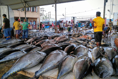 Negombo: visite des points forts du village de pêcheurs en tuk-tuk