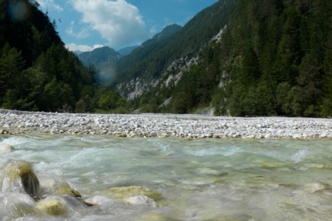 Van Bled: begeleide dagtocht naar de Julische Alpen en de Trenta-vallei