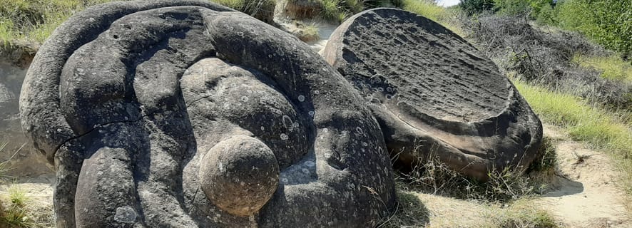Bukarest: Berca Mud Volcanoes ja Living Stones -päiväretki