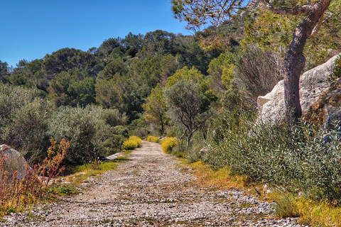 Santa Ponta/Peguera: crociera sull&#039;isola Dragonera con sosta per nuotareTour con punto di incontro a Santa Ponsa