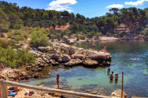 Santa Ponta/Peguera: crociera sull&#039;isola Dragonera con sosta per nuotareTour con punto di incontro a Santa Ponsa