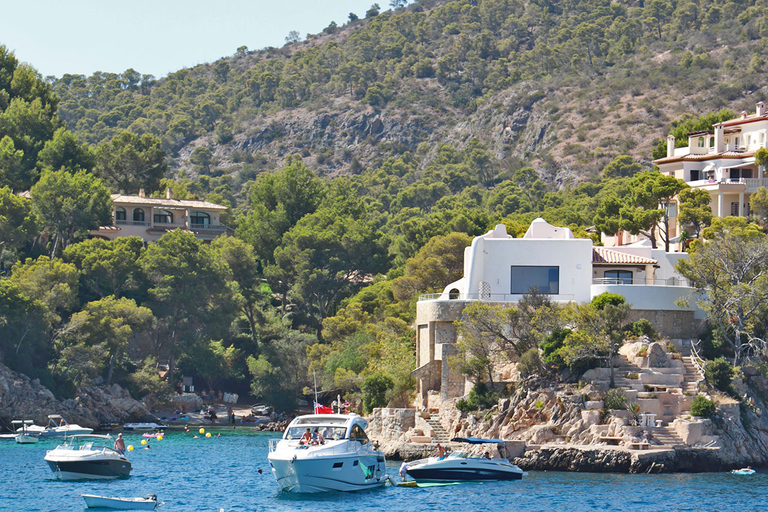 Santa Ponta/Peguera: crociera sull&#039;isola Dragonera con sosta per nuotareTour con punto di incontro a Santa Ponsa