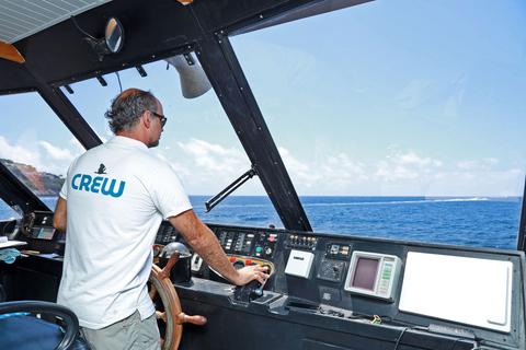 Santa Ponta/Peguera: Crucero por la Isla Dragonera con parada para nadarExcursión con punto de encuentro en Santa Ponsa