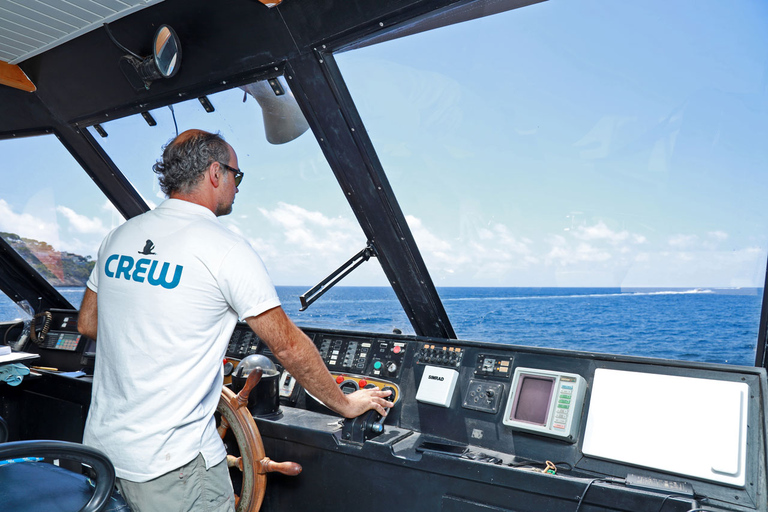 Santa Ponta/Peguera: crociera sull&#039;isola Dragonera con sosta per nuotareTour con punto di incontro a Santa Ponsa