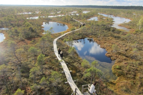 De Riga: Journée complète à Jurmala et au parc national de Kemeri