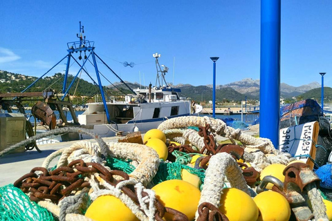 马略卡岛：乘船前往 Dragonera 岛和 Andratx 港帕格拉会面地点