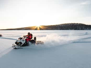 Całodniowe safari na skuterach śnieżnych w dziką przyrodę