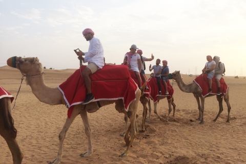 Dubai: 6-stündige abendliche Kamel-Safari-Tour mit BBQ-Dinner60-minütige Kamel-Safari & VIP-BBQ-Abendessen mit privatem Transfer