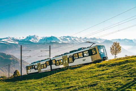 Mount Rigi: Cogwheel Train Ticket