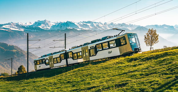 Mount Rigi: 4-Route Rack Railway & Cable Car Day Pass