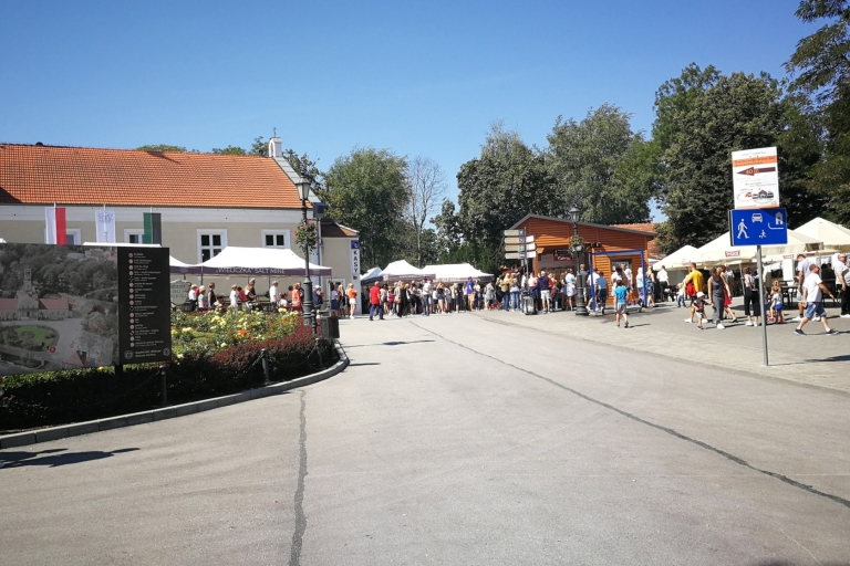 De Cracovie: visite de la mine de sel de Wieliczka en italien
