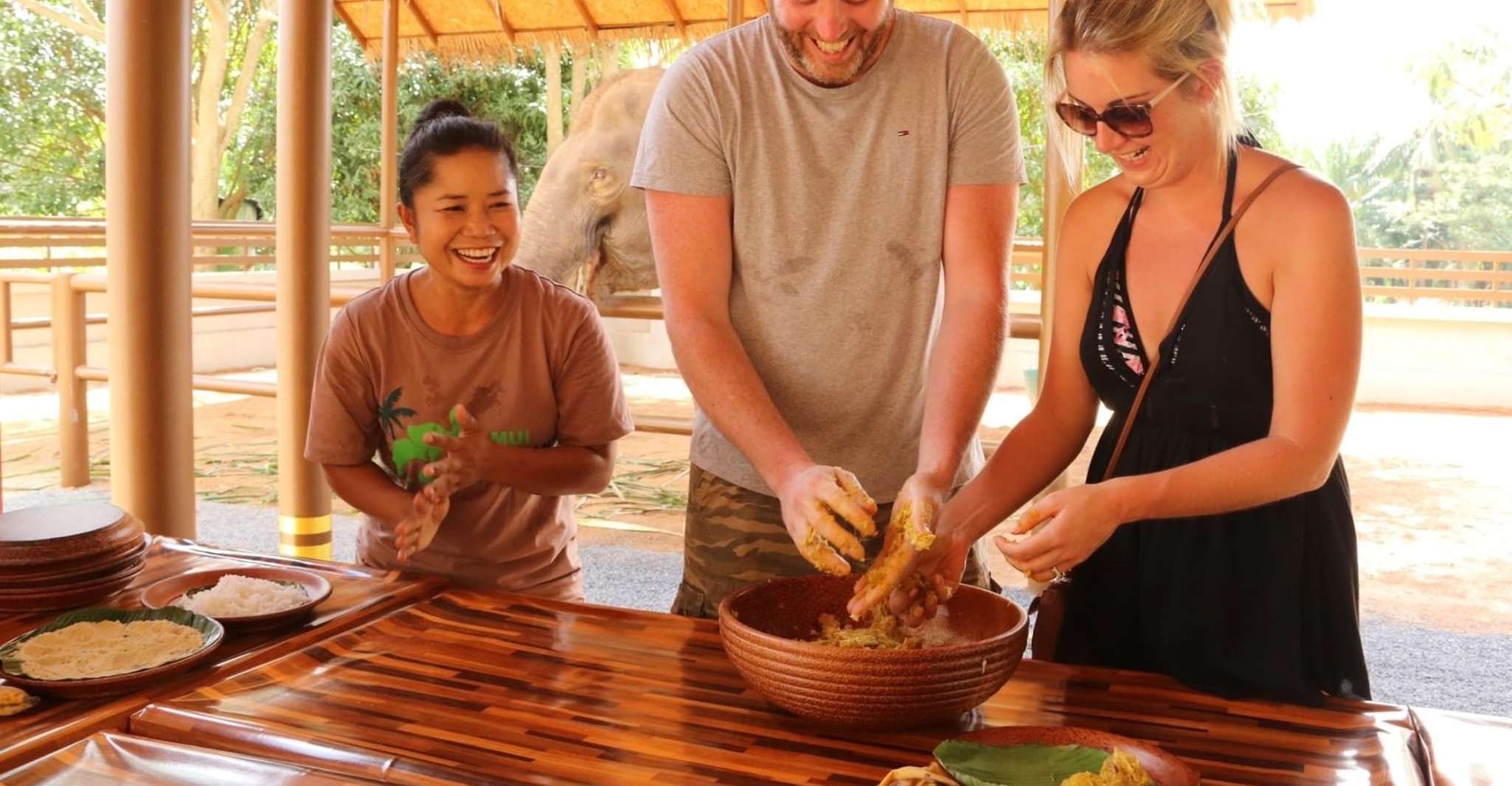 Samui, Fütterungsprogramm in der Elephant Home Nursery - Hizvo