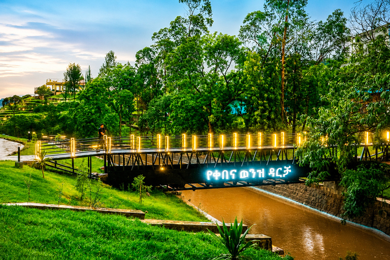Addis Abeba Kebena Boat Excursion & Park Tour with Lunch