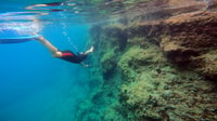 Nea Makri, Marathon Cape & Bay of Schinias Snorkeling Trip - Hizvo