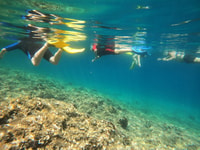 Nea Makri, Marathon Cape & Bay of Schinias Snorkeling Trip - Hizvo