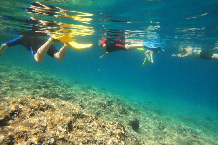Nea Makri: snorkeltrip naar Kaap Marathonas en Schiniasbaai