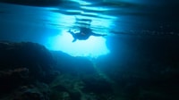 Nea Makri, Marathon Cape & Bay of Schinias Snorkeling Trip - Hizvo