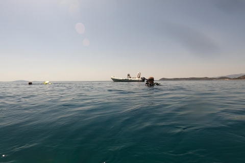 Ateny: Adventure Dives w Nea Makri dla certyfikowanych nurkówWschodnie wybrzeże Aten: 1 nurkowanie z brzegu - 3 godziny