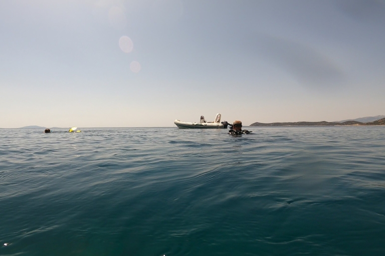Ateny: Adventure Dives w Nea Makri dla certyfikowanych nurkówWschodnie wybrzeże Aten: 1 wycieczka łodzią nurkową
