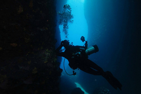 Athene: Adventure Dives in Nea Makri voor gecertificeerde duikersOostkust van Athene: 1 kustduik - 3 uur