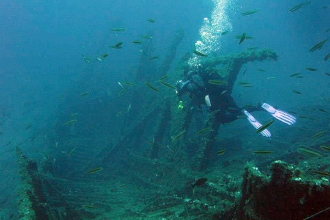 Athene: Adventure Dives in Nea Makri voor gecertificeerde duikersOostkust van Athene: 1 kustduik - 3 uur