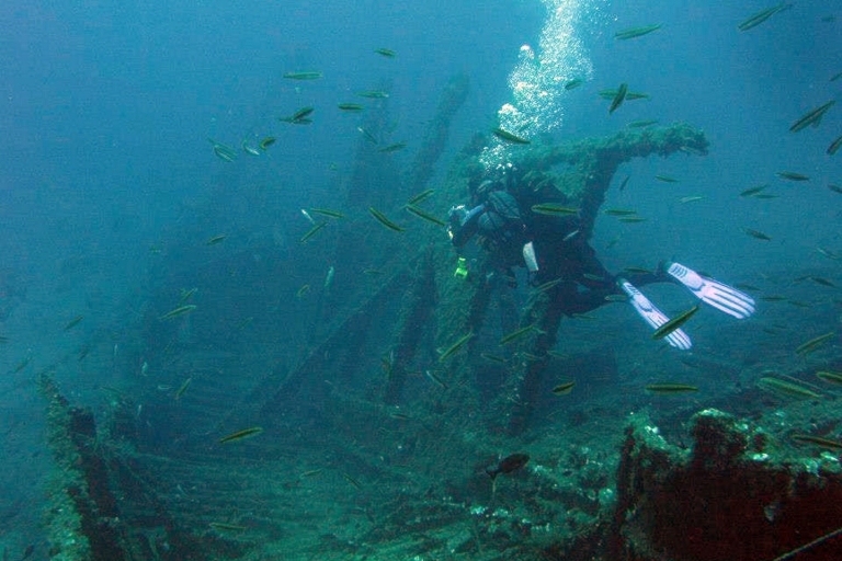 Athens: Adventure Dives in Nea Makri for Certified Divers Athens East Coast: 1 Dive Boat Trip