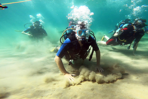 Athen Ostküste: Entdecken Sie Tauchen in Nea MakriAthens Ostküste: Entdecken Sie das Tauchen in Nea Makri