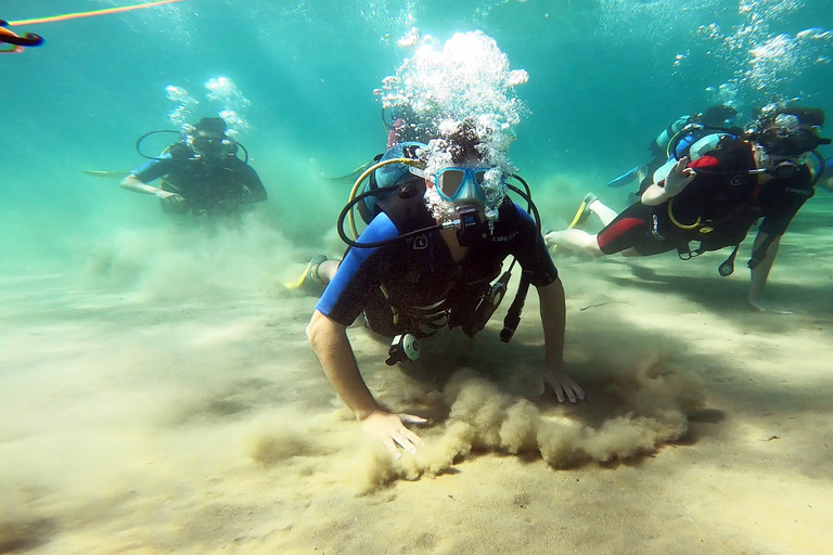 Costa este de Atenas: descubra el buceo en Nea MakriCosta este de Atenas: descubre el buceo en Nea Makri