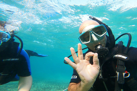 Costa este de Atenas: descubra el buceo en Nea MakriCosta este de Atenas: descubre el buceo en Nea Makri