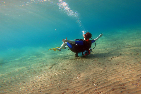 Athen Ostküste: Entdecken Sie Tauchen in Nea MakriAthens Ostküste: Entdecken Sie das Tauchen in Nea Makri