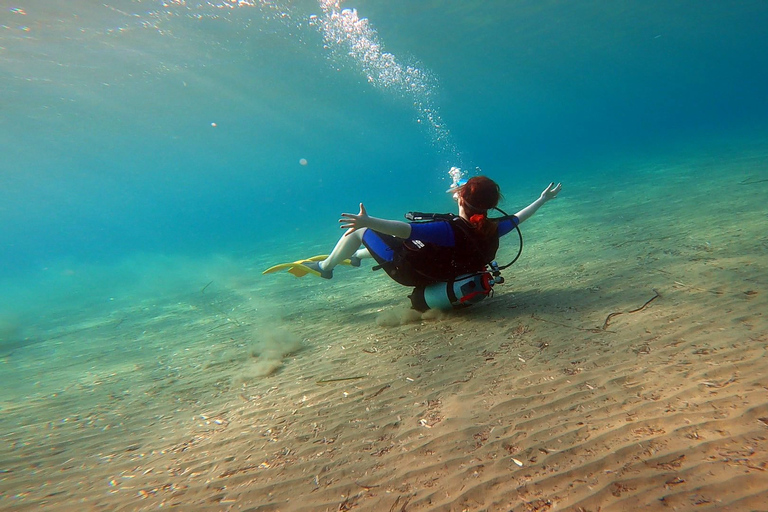 Costa este de Atenas: descubra el buceo en Nea MakriCosta este de Atenas: descubre el buceo en Nea Makri