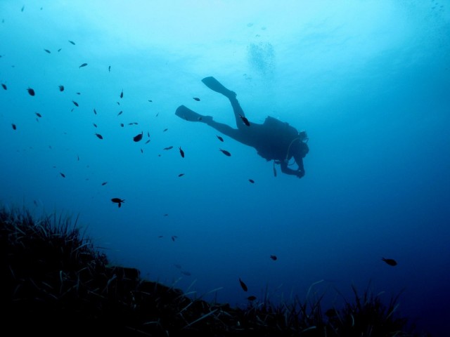Visit Nea Makri Open-Water Diving Advanced PADI Course in Nea Stira